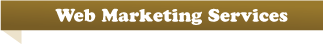 web marketing services banner